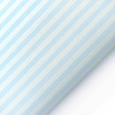 Simili cuir Outdoor Stripe