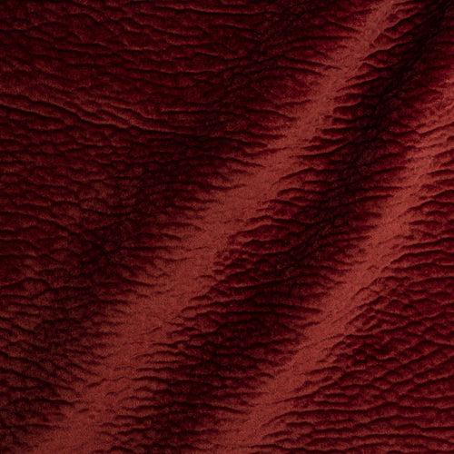 Tissu Bulldog