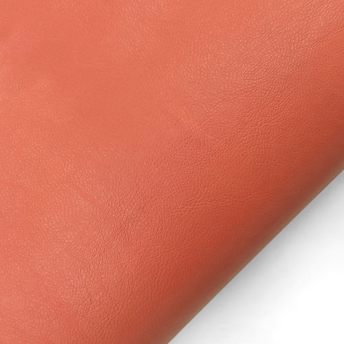 Échantillon Capro NW