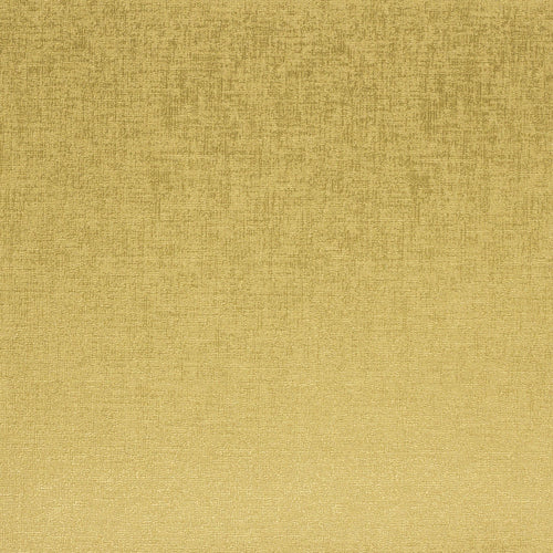 échantillon daytona