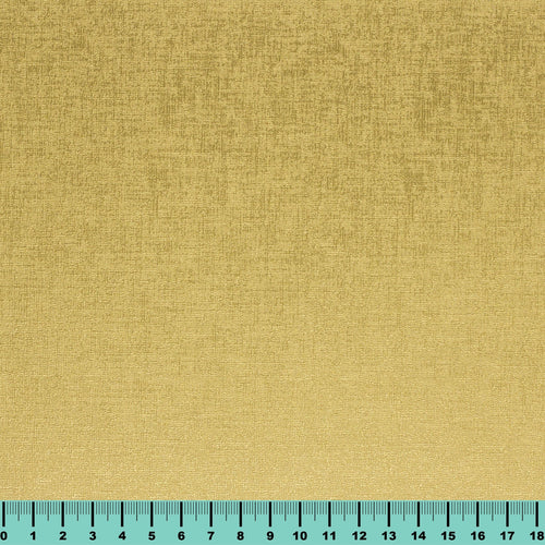 échantillon daytona