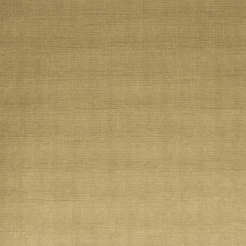 échantillon daytona