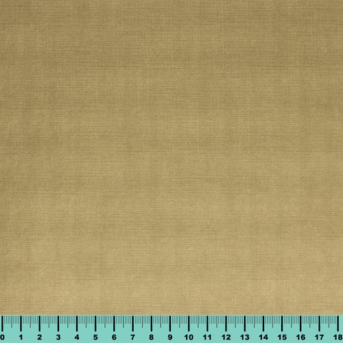 échantillon daytona