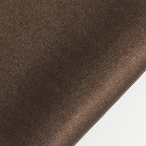 échantillon daytona