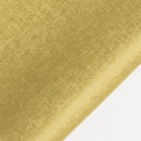 échantillon daytona