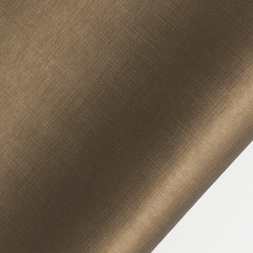 échantillon daytona