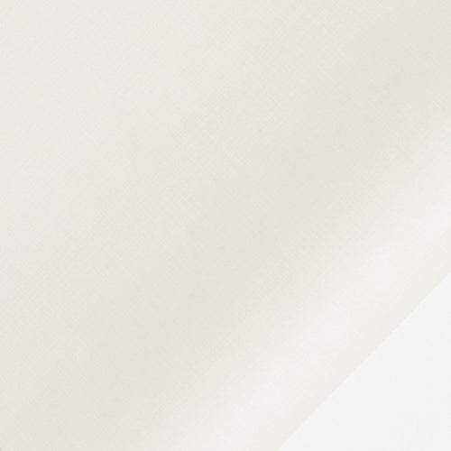 échantillon daytona