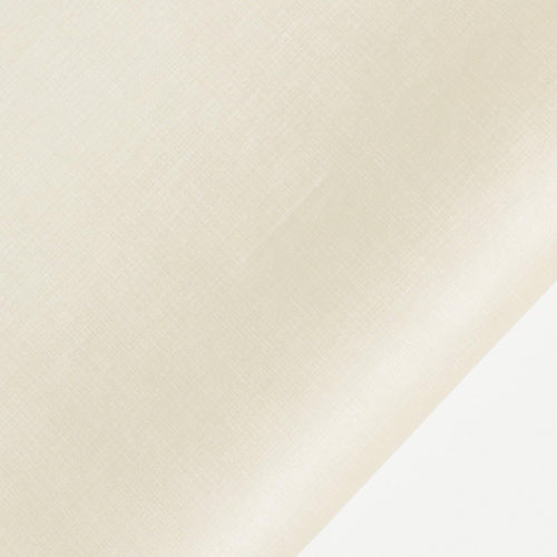 échantillon daytona