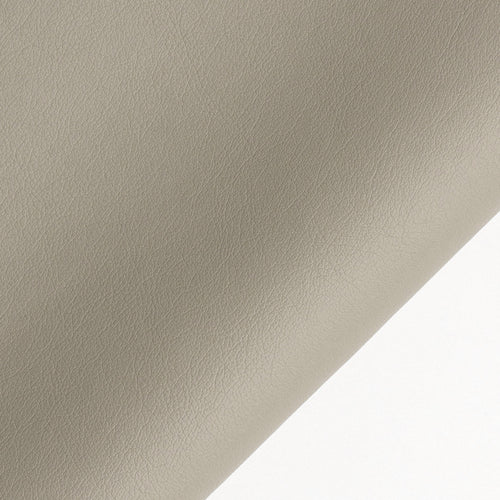 échantillon gazelle