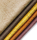 Tissu TangoF