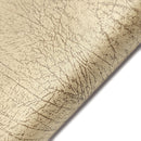 Tissu TangoF