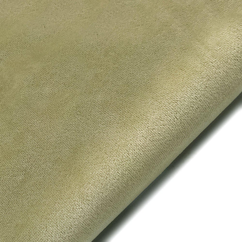 Tissu Velvet